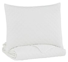 Ryter Twin Coverlet Set